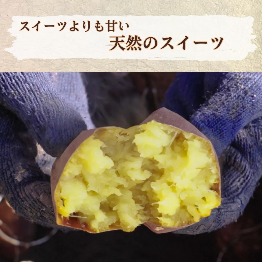 冷凍つぼ焼き芋 1kg 食べ比べセット